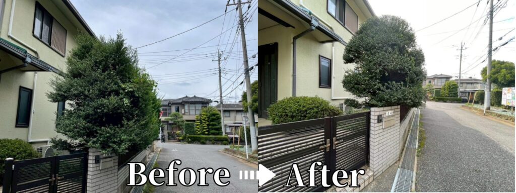 剪定
